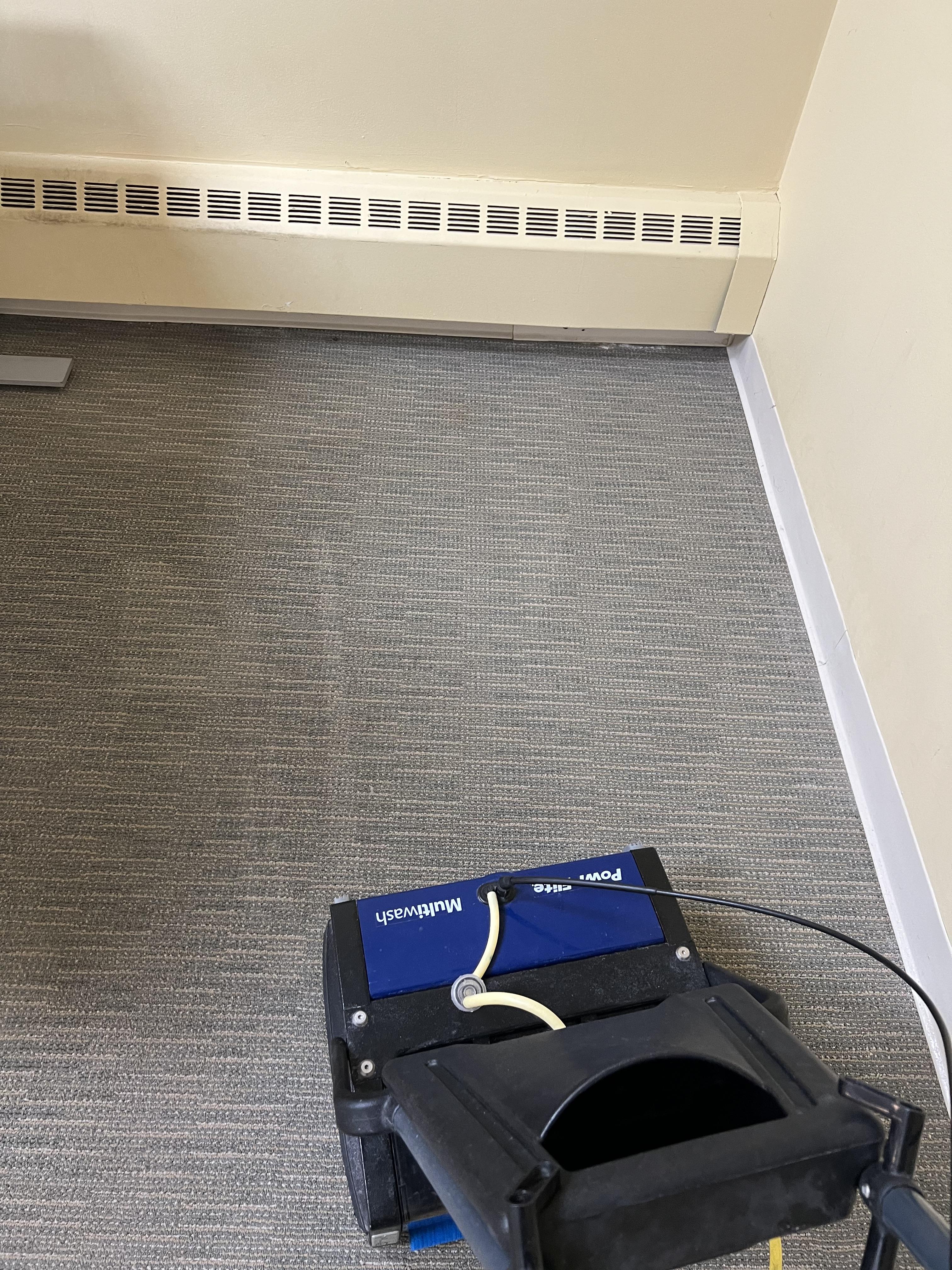 scrubbing carpet worcester ma