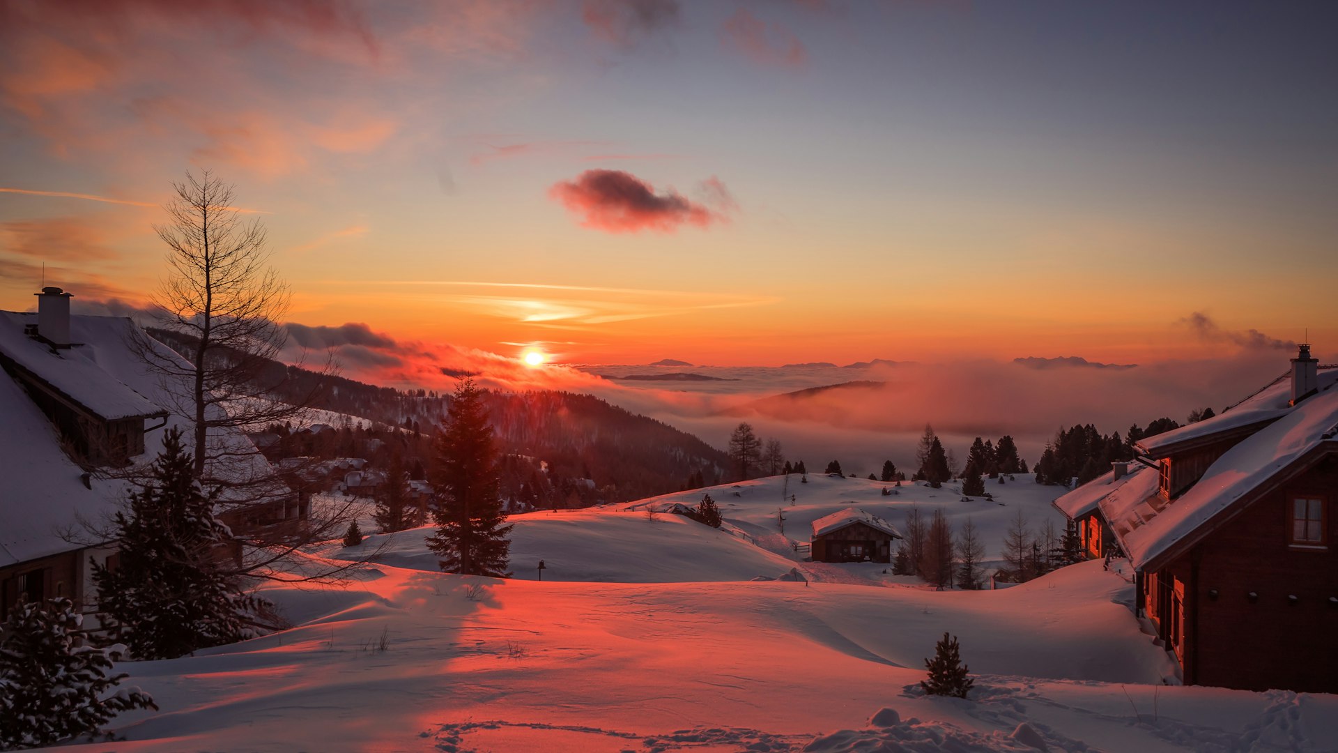 winter scened with sunrise