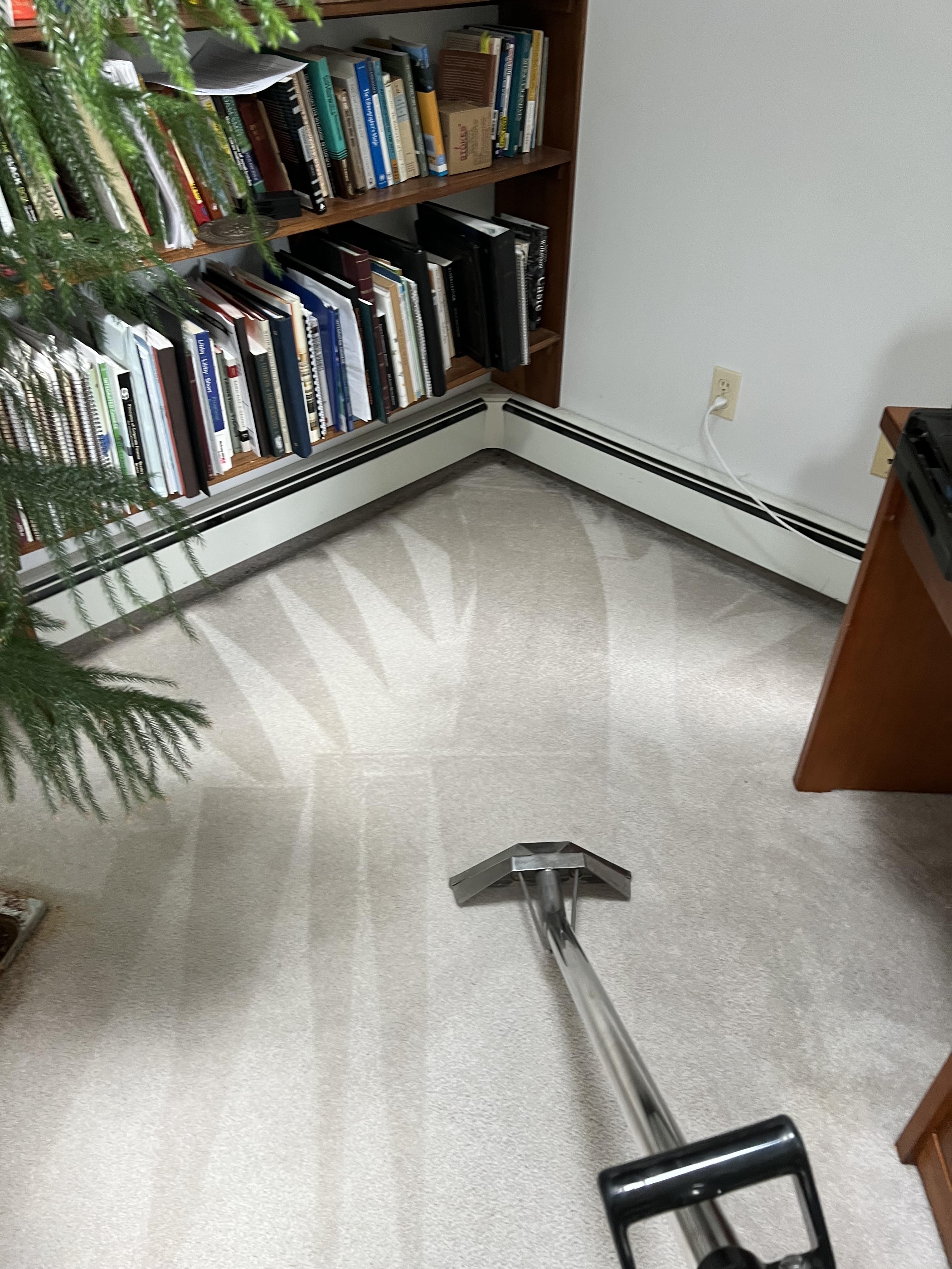 Hot water extraction of carpet
