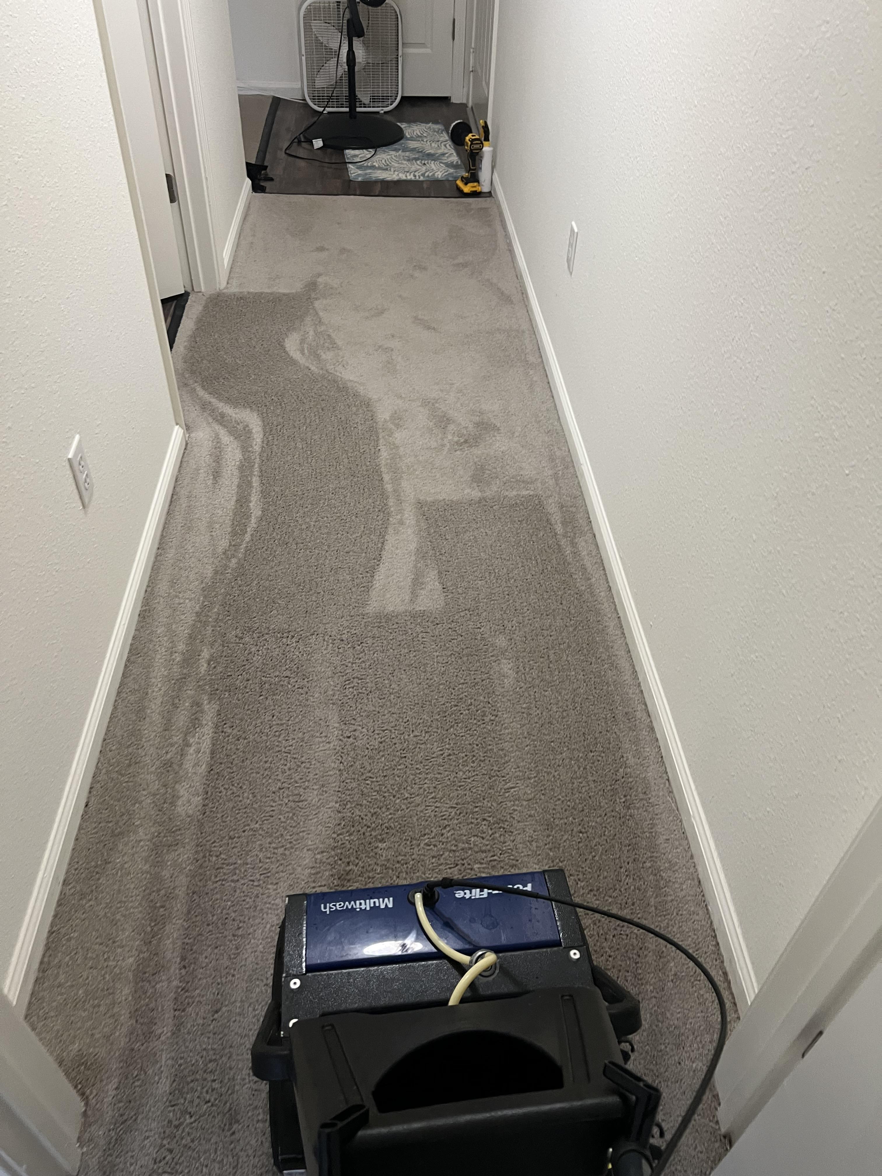 scrubbing carpet worcester ma