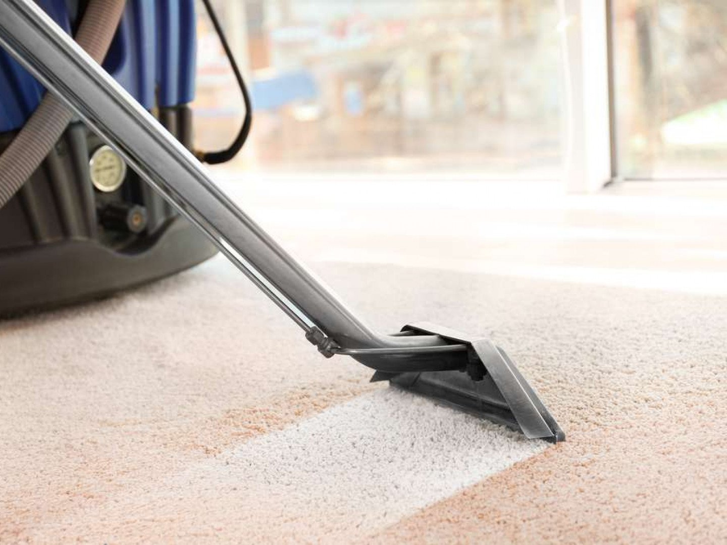 carpet cleaning services