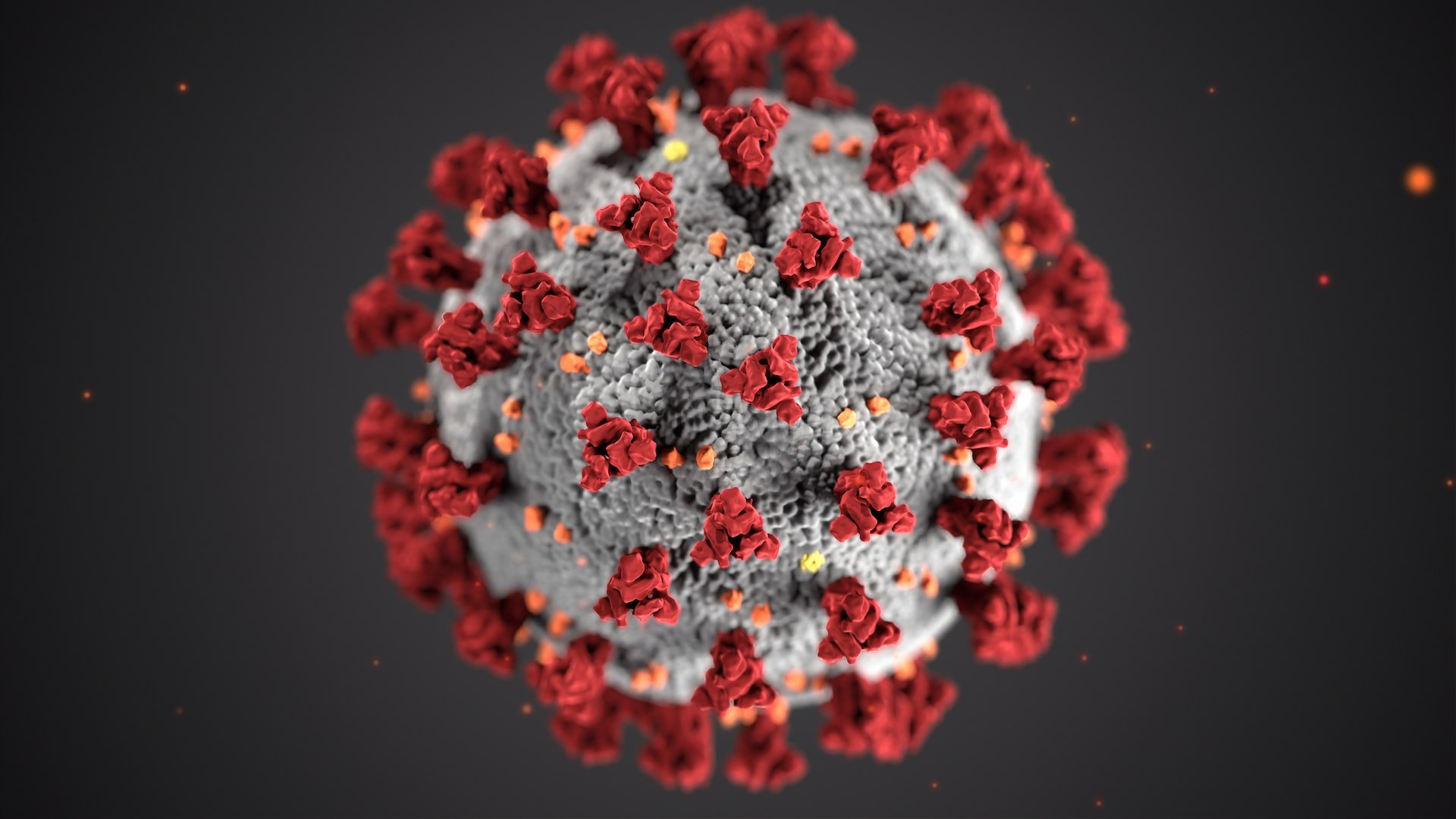 picture of a virus