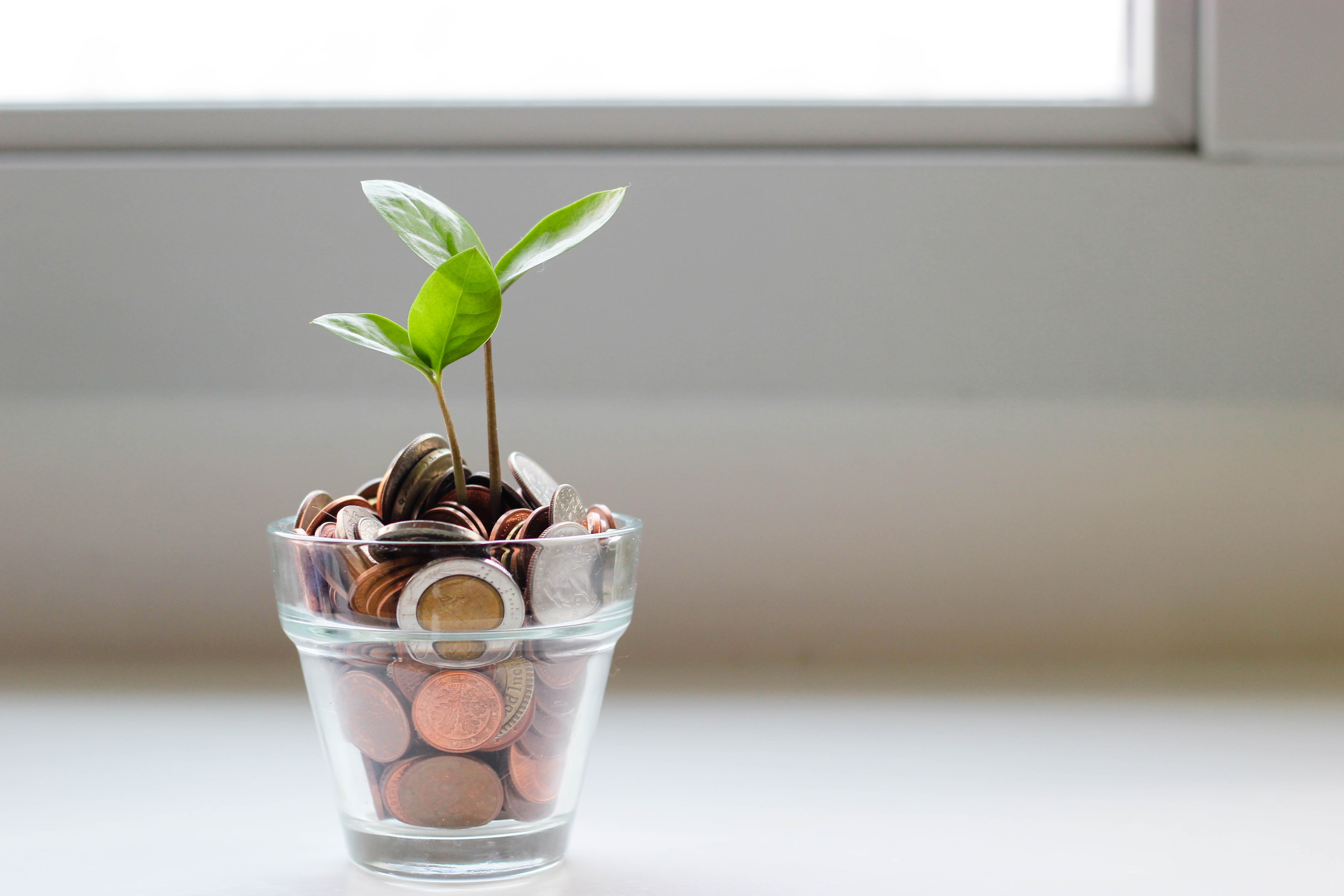 glass full off coins with a small plant growing out