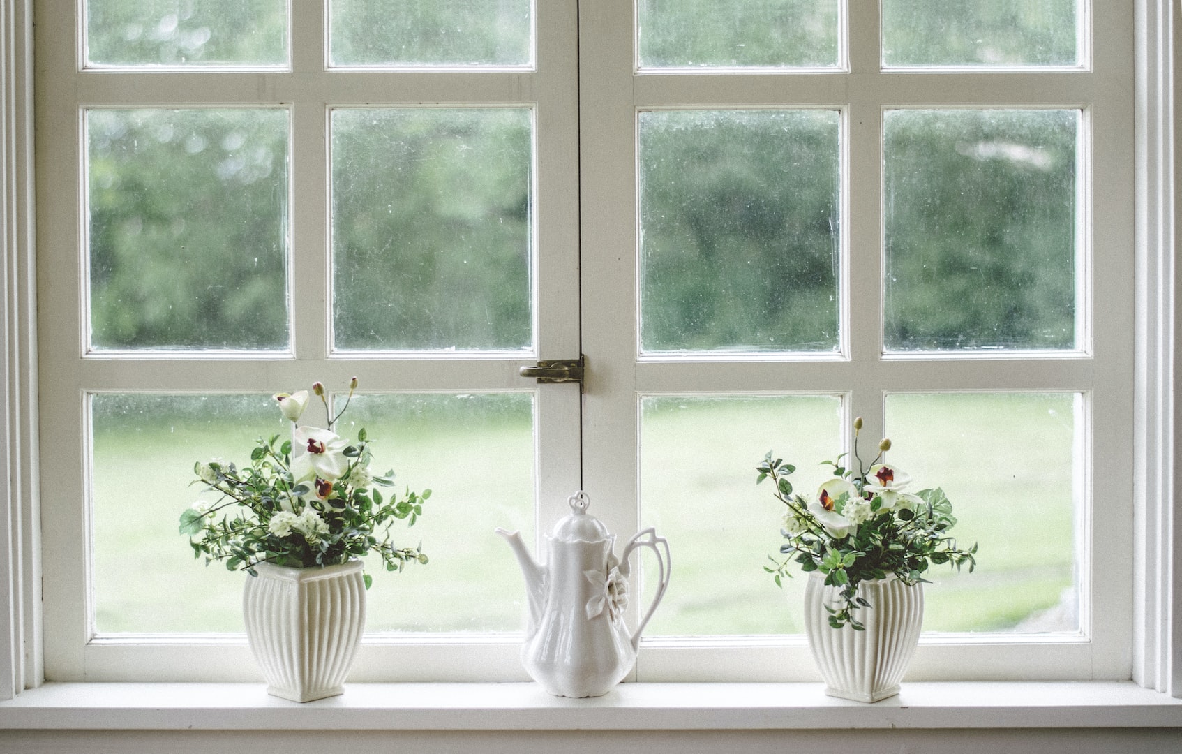 window with plants