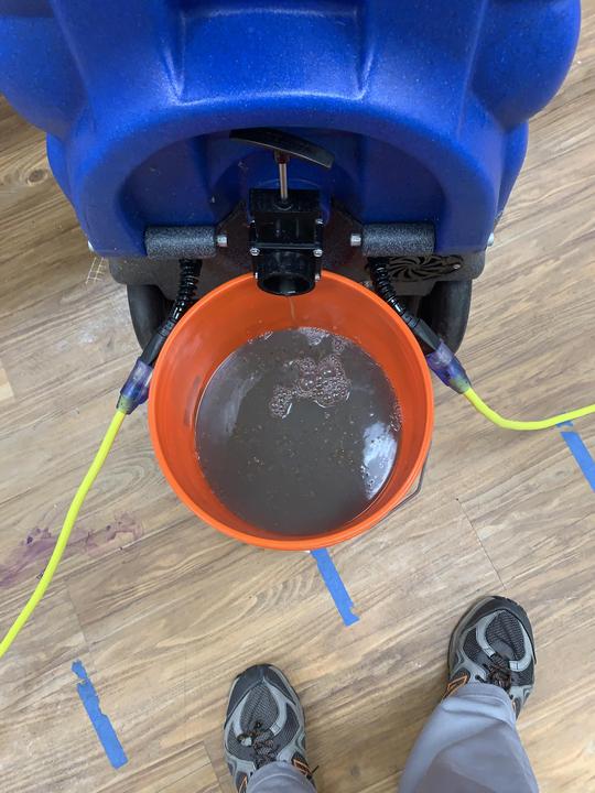 Dirty Water After Carpet Cleaning