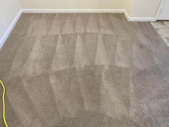 Carpet Cleaning